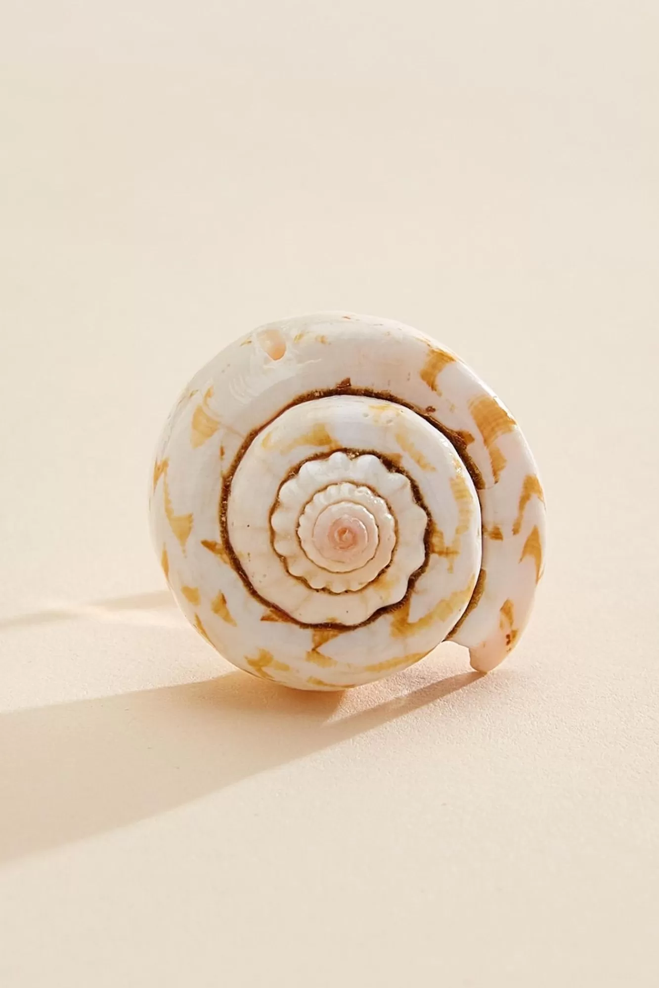 Women Versona Large Shell Ring